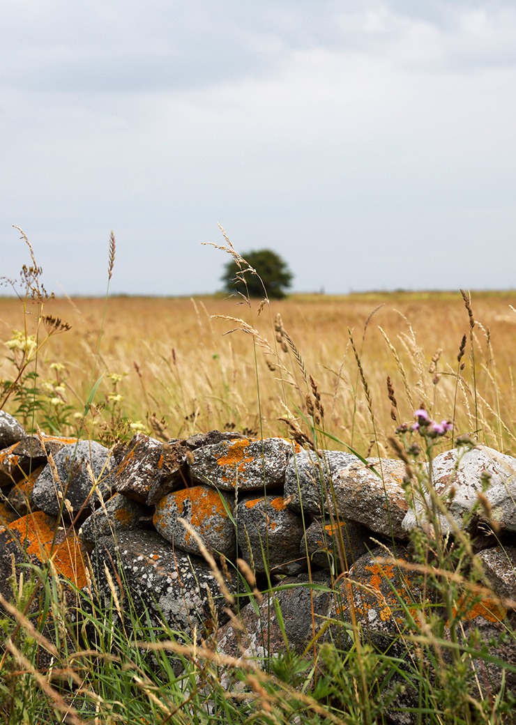 Property by Klapp