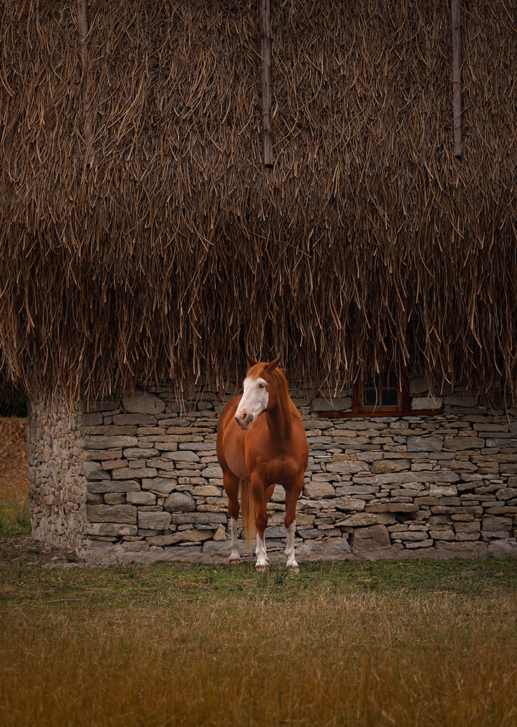 Property by Klapp